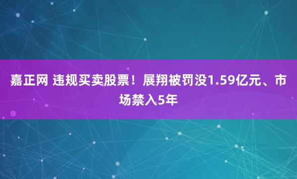 嘉正网 违规买卖股票！展翔被罚没1.59亿元、市场禁入5年