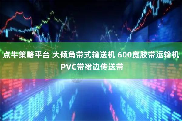 点牛策略平台 大倾角带式输送机 600宽胶带运输机 PVC带裙边传送带